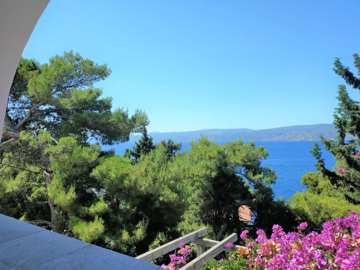 Pine Trees And Sea View Houses In Hydra - Daphne, Chloe, Myrto, Eleni ภายนอก รูปภาพ