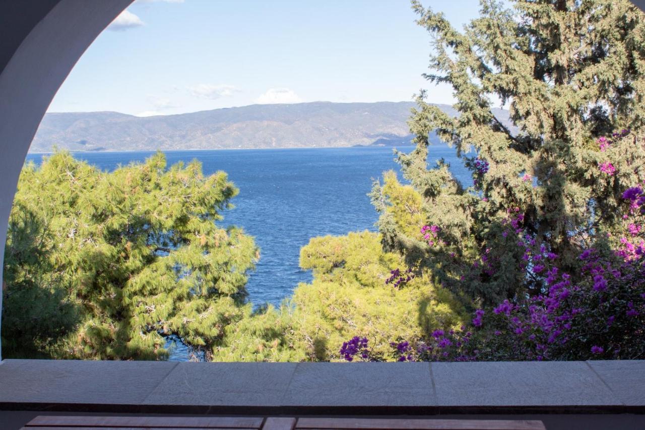 Pine Trees And Sea View Houses In Hydra - Daphne, Chloe, Myrto, Eleni ภายนอก รูปภาพ