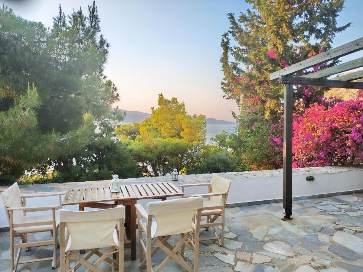 Pine Trees And Sea View Houses In Hydra - Daphne, Chloe, Myrto, Eleni ภายนอก รูปภาพ