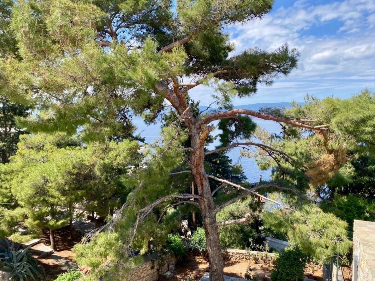 Pine Trees And Sea View Houses In Hydra - Daphne, Chloe, Myrto, Eleni ภายนอก รูปภาพ