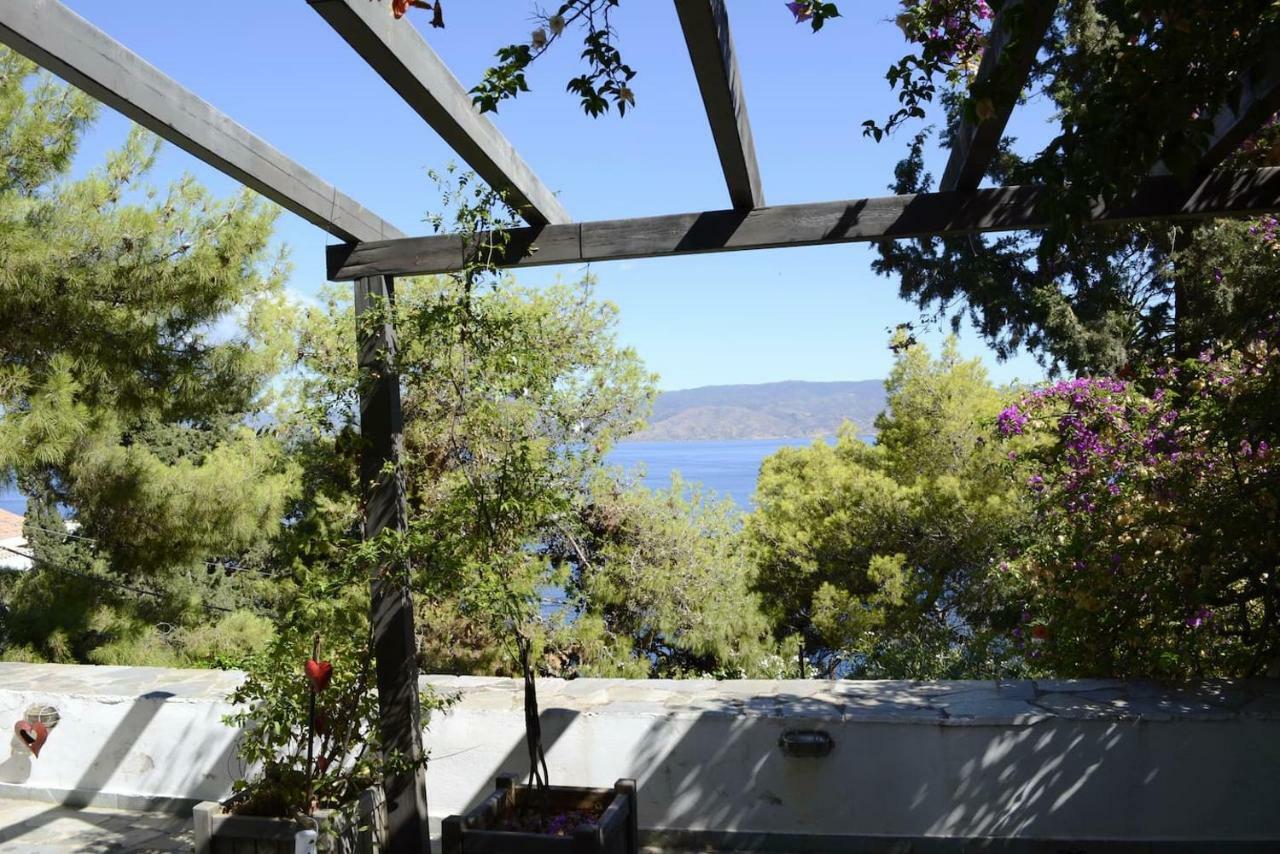 Pine Trees And Sea View Houses In Hydra - Daphne, Chloe, Myrto, Eleni ภายนอก รูปภาพ